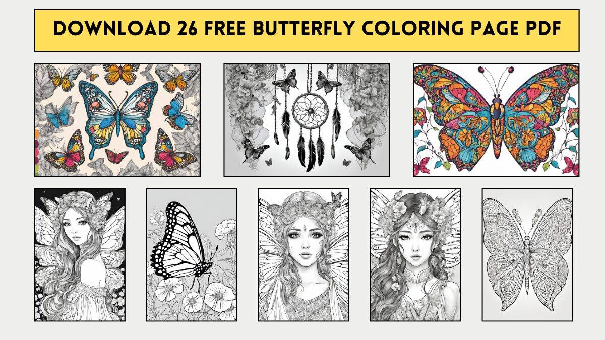 Download 26 Free Butterfly coloring page pdf