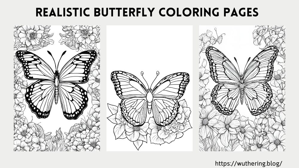 Realistic Butterfly Coloring Pages